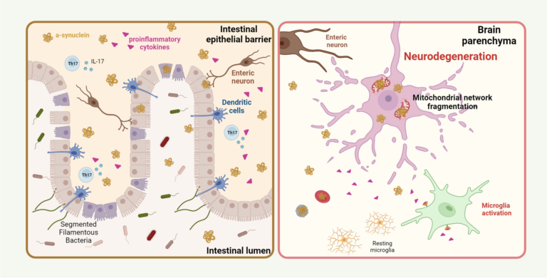 New Insights into Neurodegeneration: Recent Findings Explained