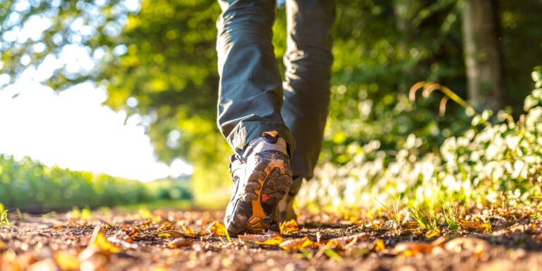 The Incredible Health Benefits of Walking for Your Body