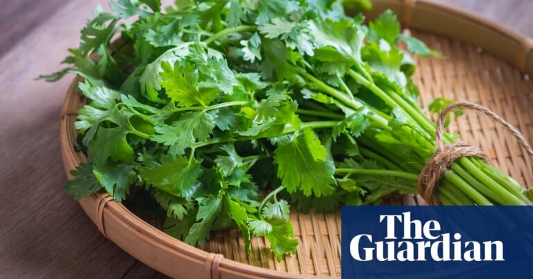 Creative Substitutes for Fresh Coriander You’ll Love in Cooking